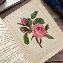 Load image into Gallery viewer, The Little Flower Seekers by Rosa Mulholland Beautiful Victorian Children's Book