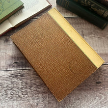 Load image into Gallery viewer, First Edition RARE Princes and Fairies by Stella Mead Vintage Illustrated Fairy Book