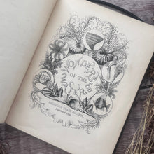 Load image into Gallery viewer, Wonders of the Waters; Circa 1846 Early Victorian Nature Book Illustrated