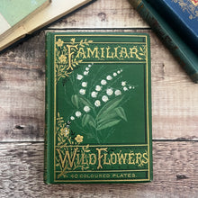 Load image into Gallery viewer, Familiar Wild Flowers First Series by Edward Hulme Beautiful Antique Book