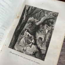 Load image into Gallery viewer, 1853 Two Stunning Antiquarian French Books; Les Petits Bearnais; Illustrated 19th Century