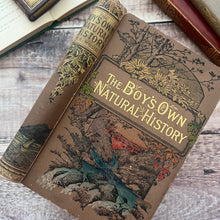 Load image into Gallery viewer, The Boy's Own Natural History Beautiful Cloth Binding Late Victorian Book