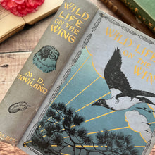 Load image into Gallery viewer, 1913 Wild Life on the Wing by M.D.Haviland; Illustrated Antique Bird Book