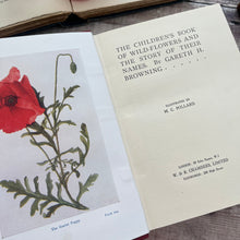 Load image into Gallery viewer, 1929 The Children's Book of Wild Flowers by Gareth H Browning; Two Volume Illustrated