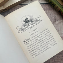 Load image into Gallery viewer, 1899 The Reign of the Princess Naska by Amelia Hutchinson Stirling