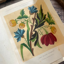 Load image into Gallery viewer, 1872 The Young Englishwoman; A Volume of Pure Literature and New Fashions