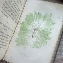 Load image into Gallery viewer, 1853 The Marine Botanist; An Introduction to the Study of British Seaweeds Illustrated