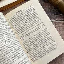 Load image into Gallery viewer, 1905 The Breitmann Ballads by Charles Leland Beautiful Floral Binding Edwardian Book