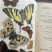 Load image into Gallery viewer, 1860 British Butterflies by WS Coleman Illustrated with Plates