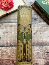 Load image into Gallery viewer, Rare 1921 Insect Life by C.A.Ealand First Edition Antique Illustrated Book