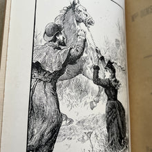 Load image into Gallery viewer, Mrs Dimsdale's Grandchildren by M & C Lee Pictorial Binding