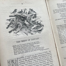 Load image into Gallery viewer, The Wild Flowers, Birds, Insects of The Months; 19th Century Illustrated Book