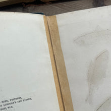 Load image into Gallery viewer, The Fresh and Saltwater Aquarium by Rev J G Wood Victorian Book with Plates