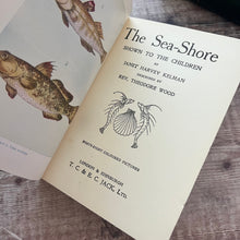 Load image into Gallery viewer, The Sea Shore Shown to the Children Antique Nature Wildlife Book...published by T.C & E.C Jack Ltd
