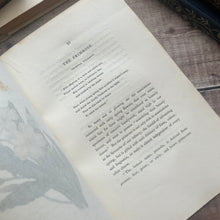 Load image into Gallery viewer, 1833 The Moral of Flowers; First Edition with Hand Coloured Plates RARE (et)