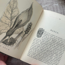 Load image into Gallery viewer, A Year with the Wild Flowers by Edith Waddy; Victorian Illustrated Botany Book