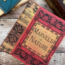 Load image into Gallery viewer, The Marvels of Nature in Earth, Sea and Sky Late Victorian Book WORN