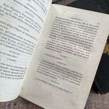Load image into Gallery viewer, 1853 Two Stunning Antiquarian French Books; Les Petits Bearnais; Illustrated 19th Century