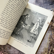Load image into Gallery viewer, Poppy A Story in Twelve Chapters Beautiful Cloth Binding Pocket Book