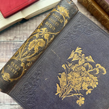 Load image into Gallery viewer, 1855 Popular Garden Botany by Agnes Catlow; First Edition with Hand Coloured Plates