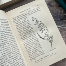 Load image into Gallery viewer, 1888 Ponds and Ditches; Natural History Rambles Illustrated Victorian Book