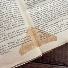 Load image into Gallery viewer, Baron and Squire by S.M.S Clarke Late Edwardian Antique Book Pictorial Binding