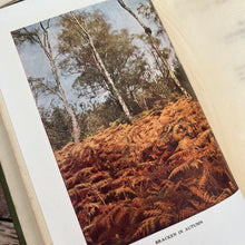 Load image into Gallery viewer, 1913 Flowerless Plants How and Where They Grow by S Leonard Bastin; Illustrated Book