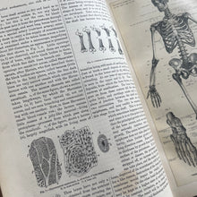 Load image into Gallery viewer, 1902 Household Physician by McGregor Robertson; Illustrated Medical Text