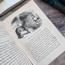 Load image into Gallery viewer, Aesop's Fables; Illustrated Late 19th Century Book with Pictorial Binding