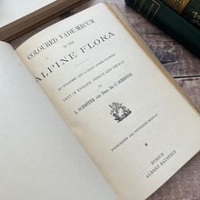 Load image into Gallery viewer, Alpine flowers by L & Prof Dr. C Schroter Antique Illustrated Book Beautiful Binding