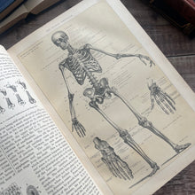 Load image into Gallery viewer, 1902 Household Physician by McGregor Robertson; Illustrated Medical Text
