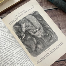 Load image into Gallery viewer, 1892 Wonderful Nests by Rev J.G. Wood; Late Victorian Natural History Book