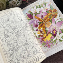 Load image into Gallery viewer, 1900 The Amateur Orchid Cultivator's Guide Book Third Edition Illustrated Colour Plates