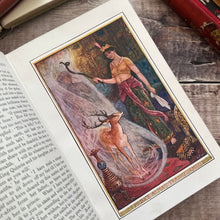 Load image into Gallery viewer, 1904 First Edition Brown Fairy Book by Andrew Lang Antique Illustrated Book