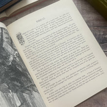 Load image into Gallery viewer, Scenes and Sights in Town and Country; Illustrated Late Victorian Book