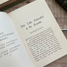 Load image into Gallery viewer, The Little Naturalist Series; In the Garden and At the Seaside Illustrated Books