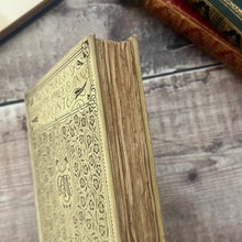 Load image into Gallery viewer, Volume One ONLY Jane Eyre by Charlotte Bronte with Edmund Dulac Plates