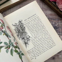 Load image into Gallery viewer, Familiar Wild Flowers Second Series by Edward Hulme; Half Leather Illustrated Book