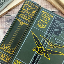 Load image into Gallery viewer, British Birds and Their Eggs by J Maclair Boraston; Early 20th Century Illustrated Book