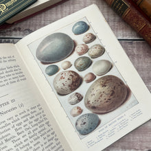 Load image into Gallery viewer, Birds and Their Ways The Rambler Nature Books Beautiful Floral Binding