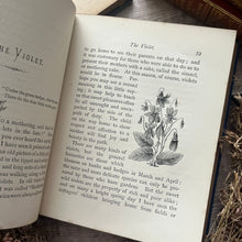 Load image into Gallery viewer, Flowers and Their Teachings Scarce Binding Late Victorian Illustrated