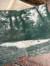Load image into Gallery viewer, Flowers of the Farm by Arthur O Cooke; The Countryside Series Illustrated