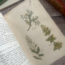 Load image into Gallery viewer, Early 1800's The Family Herbal by Sir John Hill; With Hand Coloured Plates