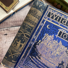 Load image into Gallery viewer, Wildcat Tower by G. Christopher Davies; Victorian Illustrated Book