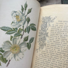 Load image into Gallery viewer, Familiar Wild Flowers Five Volumes; Half Leather Illustrated Set