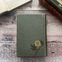 Load image into Gallery viewer, 1882 Sacred Allegories by Rev Edward Monro Beautiful Floral Victorian Book