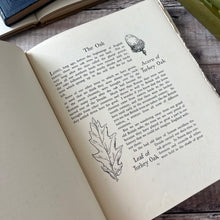 Load image into Gallery viewer, Our Friendly Trees by Barbara Briggs; Vintage Illustrated Book with Dust Jacket