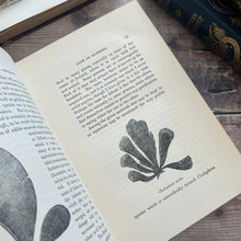 Load image into Gallery viewer, The Fresh and Saltwater Aquarium by Rev J G Wood Victorian Book with Plates