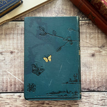 Load image into Gallery viewer, 1880 Ponds and Ditches; Natural History Rambles Illustrated Victorian Book