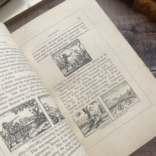 Load image into Gallery viewer, 1878 Bewick's Select Fables of Aesop and Others; Fine Half Morocco Binding